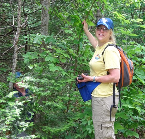 Looking for an elusive geocache.June 2016